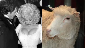 Ovelha clonada Dolly inspirada em Dolly Parton