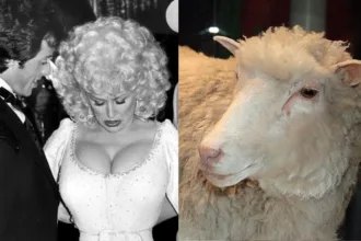 Ovelha clonada Dolly inspirada em Dolly Parton