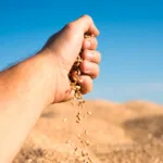 Empresários do agro investigados por sonegação fiscal em Goiás