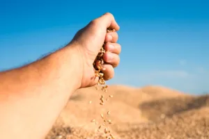 Empresários do agro investigados por sonegação fiscal em Goiás