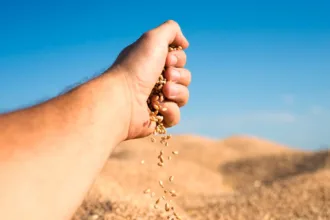 Empresários do agro investigados por sonegação fiscal em Goiás