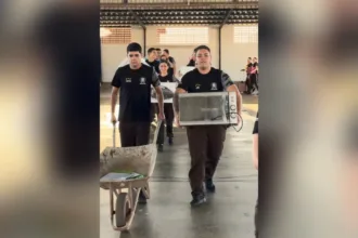 Caixas térmicas