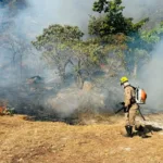 Gabinete de combate ao El Niño em Goiás
