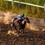 Doações e leilões para reconstrução do Hipódromo da Lagoinha