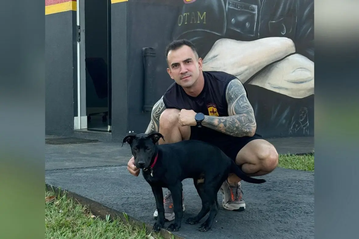 Conheça Confronto, cão que conquistou policiais e virou mascote da Rotam em Goiânia