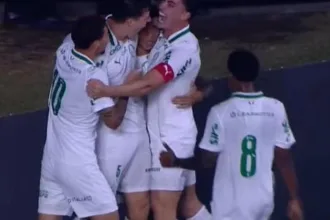 Palmeiras usa