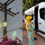 abelhas-atacam-apae-e-deixam-40-feridos-em-piracanjuba