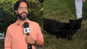 Cachorro perdido resgatado em reportagem ao vivo da Globo