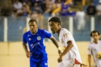 Galo da Comarca