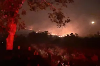 Bombeiro combate incêndios florestais em Caldas Novas