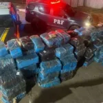 recorde-brasileiro-em-2026:-prf-apreende-3,7-toneladas-de-“super-maconha”-em-goias