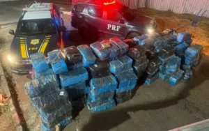 recorde-brasileiro-em-2026:-prf-apreende-3,7-toneladas-de-“super-maconha”-em-goias