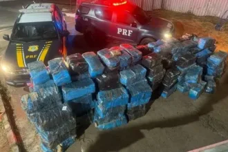 recorde-brasileiro-em-2026:-prf-apreende-3,7-toneladas-de-“super-maconha”-em-goias