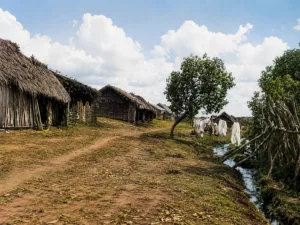 antes-de-ser-espremido-pelo-concreto,-corrego-botafogo-foi-decisivo-para-construcao-de-goiania;-conheca-historia