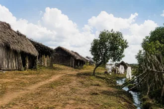 antes-de-ser-espremido-pelo-concreto,-corrego-botafogo-foi-decisivo-para-construcao-de-goiania;-conheca-historia