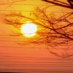 Plantio em Goiás com calor extremo e chuvas irregulares