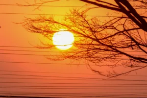 Plantio em Goiás com calor extremo e chuvas irregulares