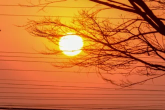 Plantio em Goiás com calor extremo e chuvas irregulares