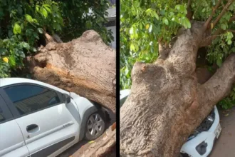 Goiânia nesta terça
