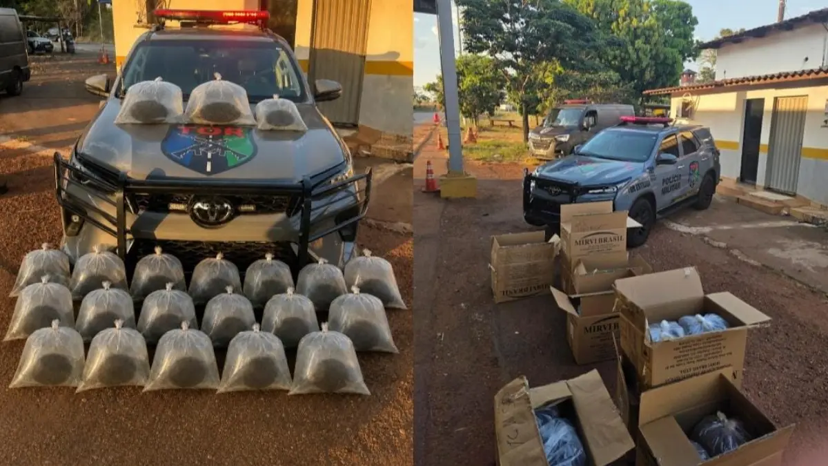 Ônibus interestadual é flagrado transportando 25 filhotes de arraia em Goiânia
