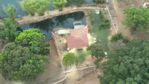 Irmãos presos por sonegação fiscal em Goiás