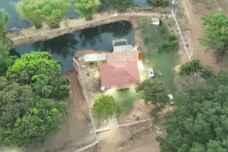 Irmãos presos por sonegação fiscal em Goiás