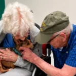 Chihuahua cega nos braços de idosa de 90 anos