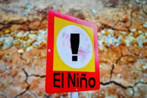 Intensidade do El Niño aumenta 40% em relação ao período pré-industrial