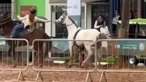Cavalo desgovernado controlado por menina de 12 anos na Expointer