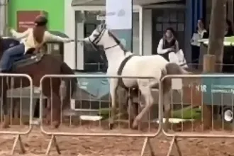 Cavalo desgovernado controlado por menina de 12 anos na Expointer