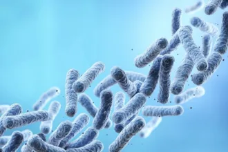 Nanotubos conectando arqueia Asgard a bactéria