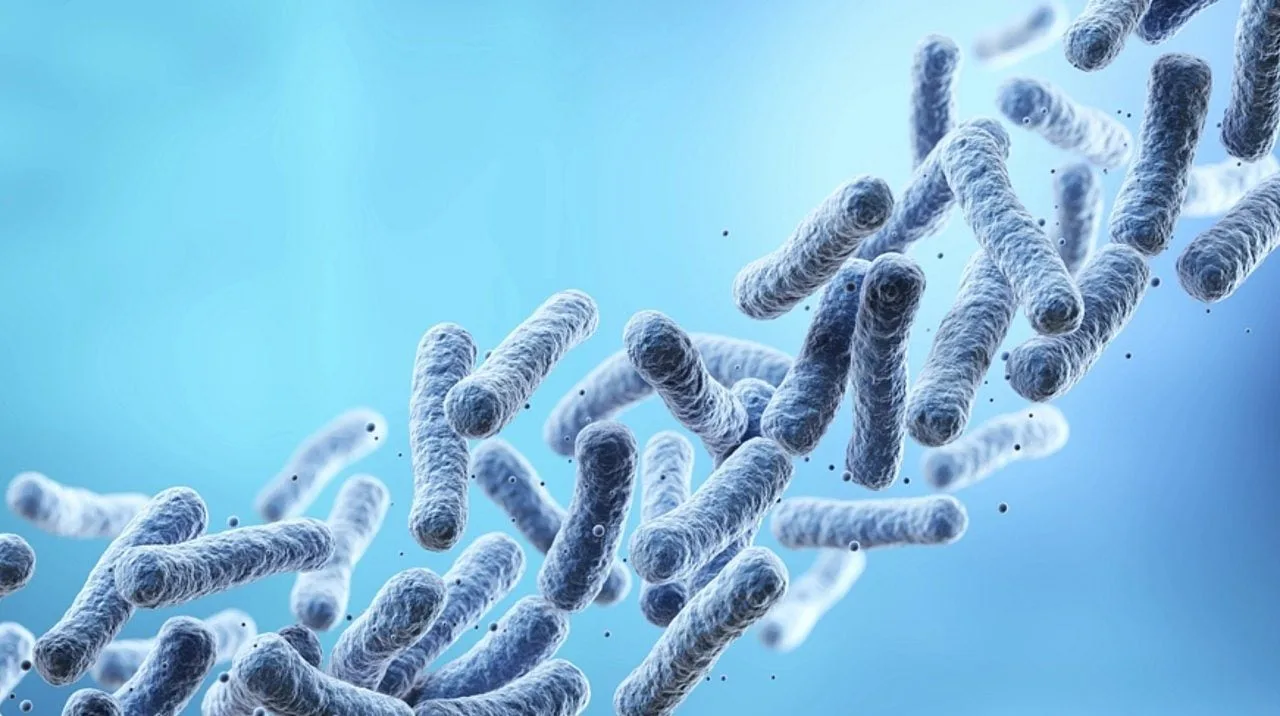 Nanotubos inéditos conectam arqueia Asgard a bactéria e revelam origem da vida complexa
