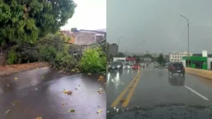 chuva-forte-ameniza-calor-e-causa-estragos-em-anapolis;-video