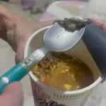 sabor-lagartixa:-consumidora-de-goias-e-indenizada-apos-encontrar-animal-em-macarrao-instantaneo