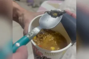 sabor-lagartixa:-consumidora-de-goias-e-indenizada-apos-encontrar-animal-em-macarrao-instantaneo