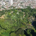 goiania-e-cidade-de-passagem-para-1-em-cada-3-visitantes