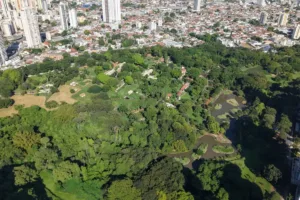 goiania-e-cidade-de-passagem-para-1-em-cada-3-visitantes