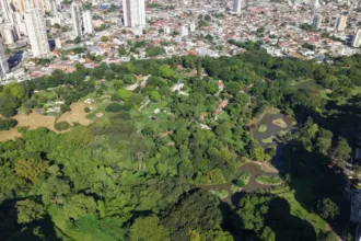 goiania-e-cidade-de-passagem-para-1-em-cada-3-visitantes