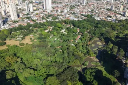 goiania-e-cidade-de-passagem-para-1-em-cada-3-visitantes