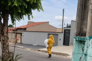 ataque-de-abelhas-mata-cachorro-e-obriga-moradores-a-se-esconderem-dentro-de-igreja,-em-caldas-novas
