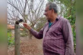 tradicao:-saguis-visitam-chacara-de-jandaia-em-busca-de-frutas-durante-a-seca