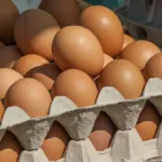 proteina-mais-barata:-preco-do-ovo-cai-ate-18%-na-ceasa-de-goias 