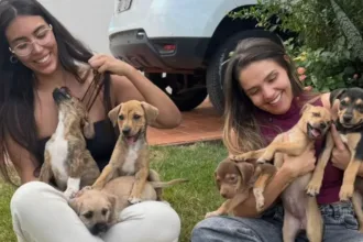 grupo-de-protecao-animal-acumula-divida-de-r$-13-mil-e-teme-fechar-em-goiania:-‘nao-temos-como-fazer-nada’