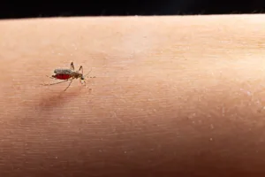 dengue:-avanco-do-tipo-3-e-chuvas-irregulares-deixam-populacao-de-goias-mais-suscetivel-a-doenca,-alerta-saude