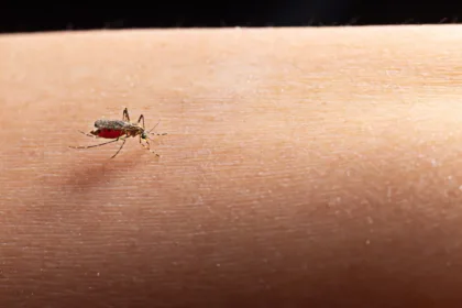 dengue:-avanco-do-tipo-3-e-chuvas-irregulares-deixam-populacao-de-goias-mais-suscetivel-a-doenca,-alerta-saude