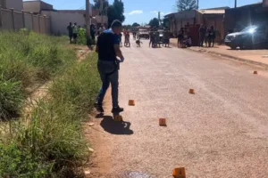 policia-de-go-avalia-construir-laboratorio-com-tecnologia-para-coletar-pistas-de-crime-em-insetos