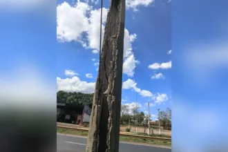 ‘balanca-quando-carreta-passa’:-morador-denuncia-postes-rachados-na-br-153,-em-itumbiara;-video