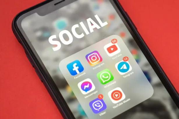 facebook,-tiktok-e-ate-shopee:-trafico-de-animais-e-plantas-ganha-escala-nas-plataformas-digitais