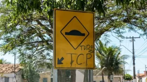 tres-confrontos-com-a-pm-deixam-nove-suspeitos-mortos-em-dois-dias-em-goias