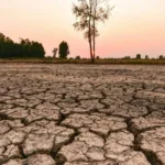 el-nino-recorde-pode-alterar-clima-de-inverno-nos-estados-unidos